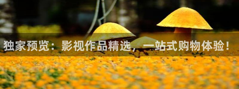 人人影院电影免费观看