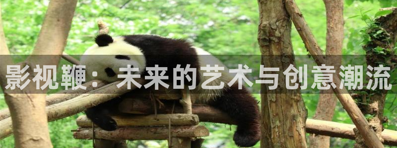 人人影片
