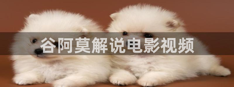 人人影院app