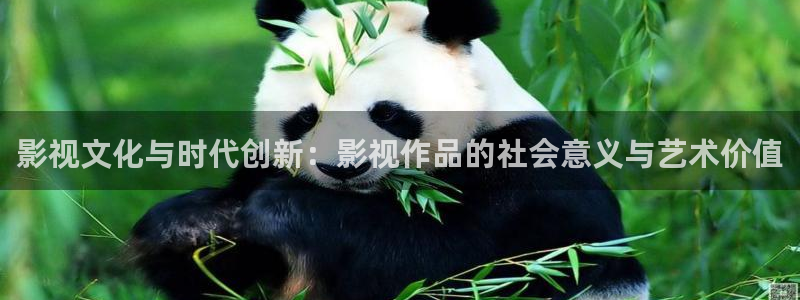 人人影剧