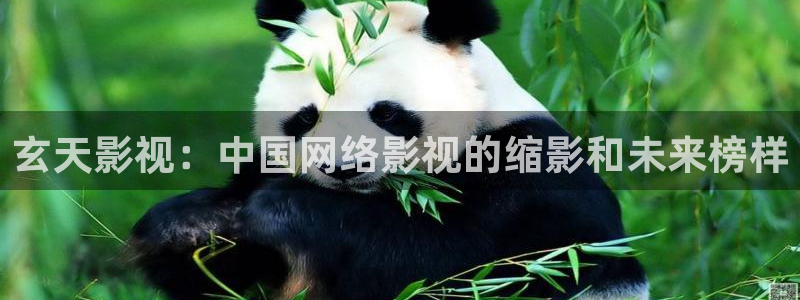 人人视频app
