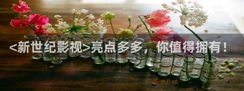 人人影视在线电视剧