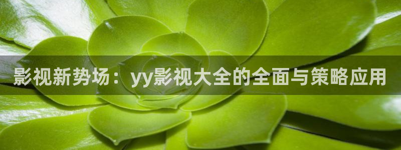 人人影视官网