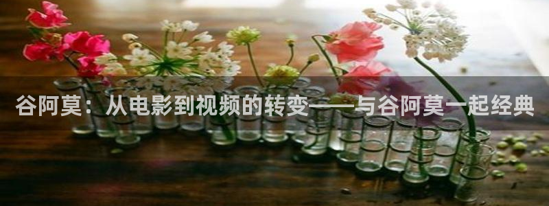心有千千结电视剧全集人人影院