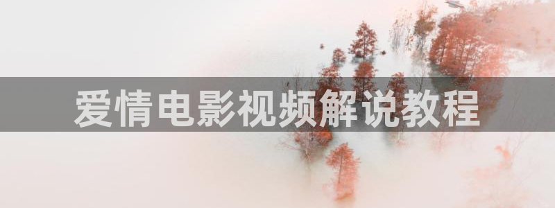 人人视频app