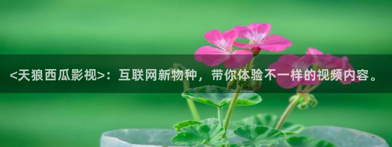 人人影院伦理片