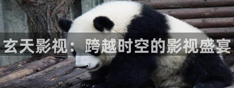 人人影院下载