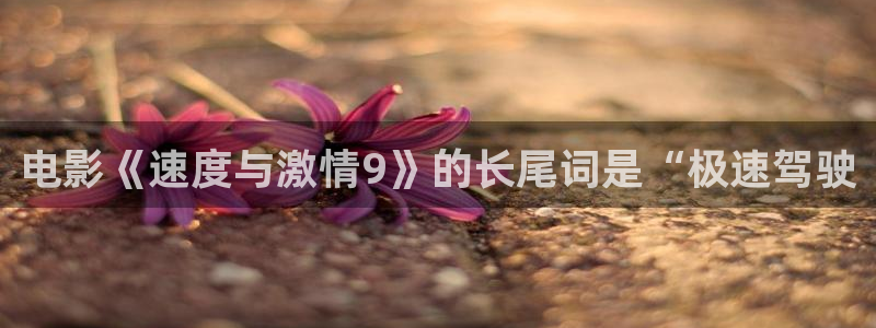 人人影剧