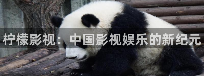 人人影视app下载