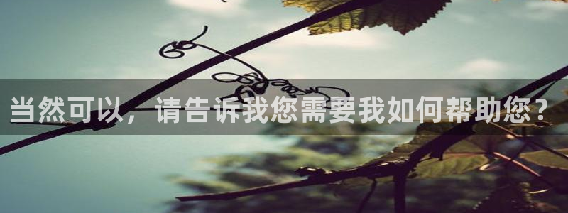 人人影院在线观看