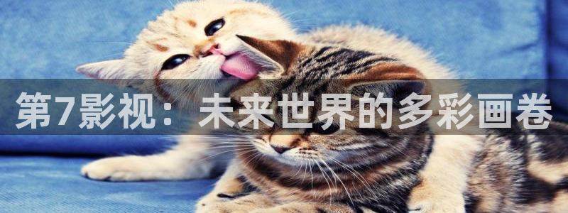 人人影视下载