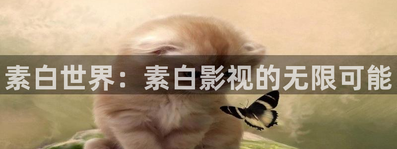 人人影院电影网