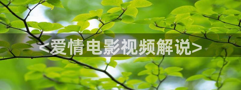 私人人影院