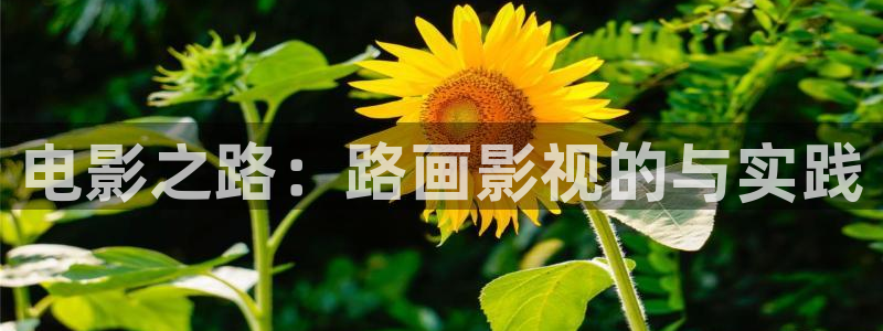 甄执� 人人影视
