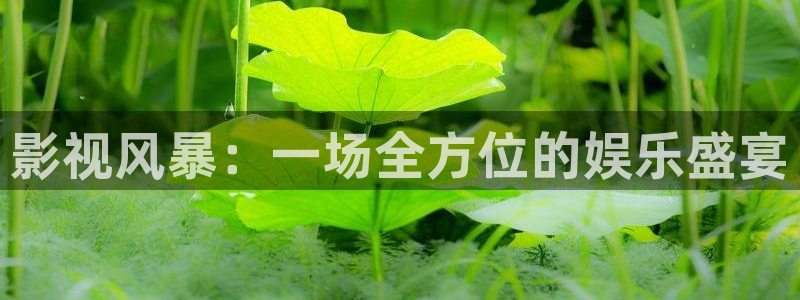 人人视频网站