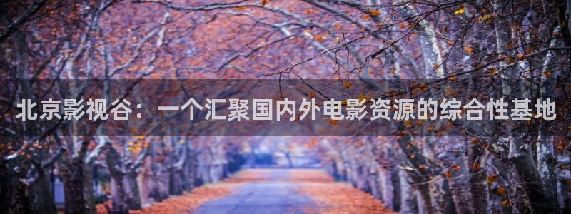 人人视频网址