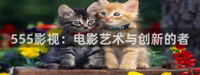 人人影视在线免费观看