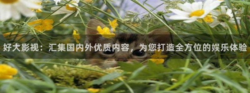 www.人人影院