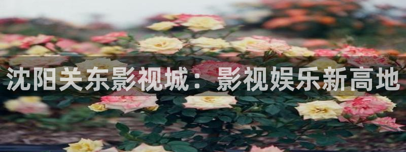 人人影视在线免费观看